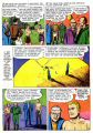 AmazAdv6_31.jpg