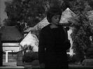 snapshot(131).jpg