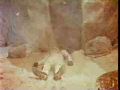 missionmars_272044.jpg