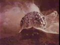 missionmars_272123.jpg