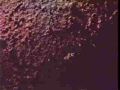 missionmars_272149.jpg